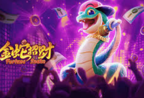 赏金国际vip登录入口免费版