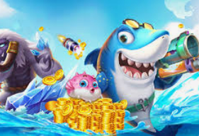 赏金国际vip登录入口手机版