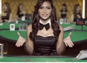 赏金国际vip登录入口手机版